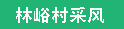 林峪村采风